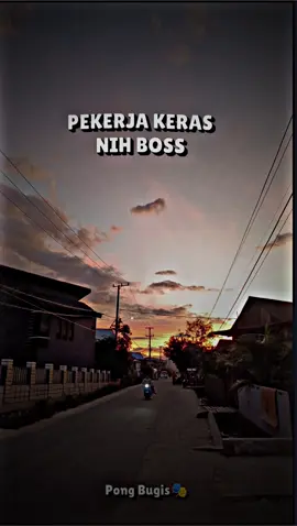pekerja keras nih bos senggol dong😂 #fyp #storybugis #pongbugis #sulawesiselatan #masukberandatiktok #bugissidrap #bugistiktok #sulsel_bugis #fypシ 