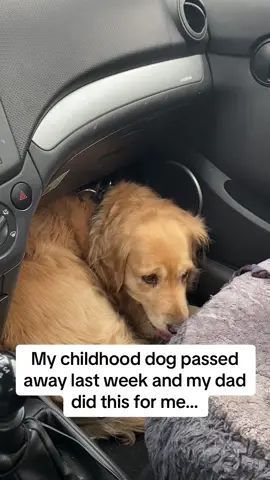 You are my best friend #dogsoftiktok 