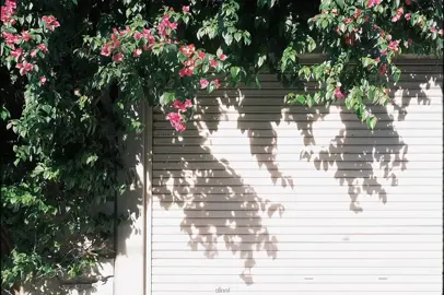 vì anh đã tình cờ yêu em ... #lyrics #chill #nhactamtrang #xuhuong #trendingvideo #fyp #dinni___yw #ohstm 