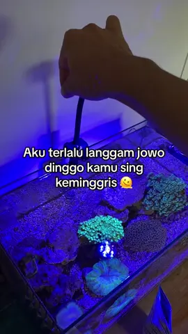 Hhehe#katakata #jawapride #fyppppppppppppppppppppppp #fypシ #karawitan #kejawenan #tembangjawi #campursarijawa #xyzbca 