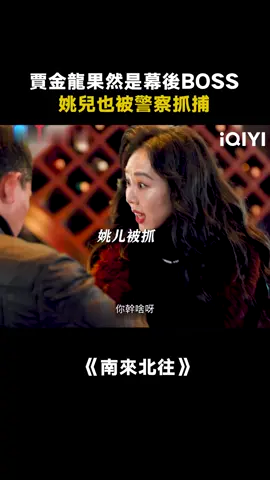 姚兒原來早就知道賈金龍的真實身份了！#南來北往 #姜妍 #白敬亭 #推 #推薦 #我要上推薦 #影視 #AlwaysontheMove #drama #cdrama #fy #fyp #南来北往 #foryou #iqiyi