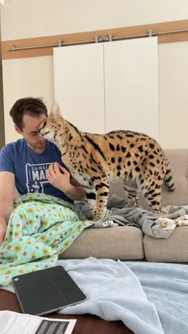 When people ask if Chloe’s cuddly: (Surprise video at the end)