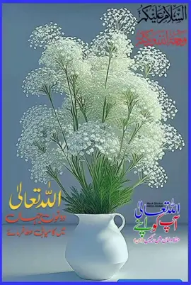#دعائیں مانگتے رہا کرو#🤲🙏🏵