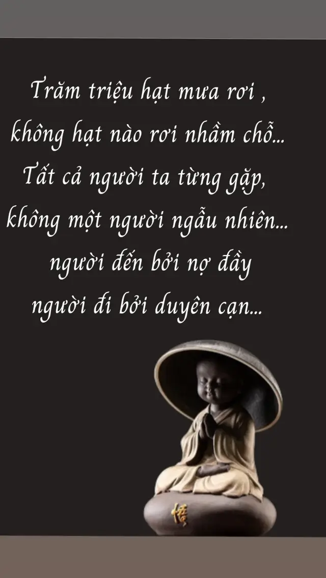 trăm triệu hạt mưa rơi. không hạt nào rơi nhầm chỗ #phatphapvcuocsong #trichdanhay #cuocsong #chualanh 