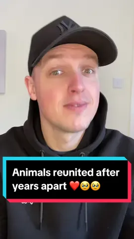 Animals reunited with owners after years apart ❤️🥹 which one was the cutest? #fyp #foryoupage #animals #lucky #hero #reaction #xyzbca #viraal 