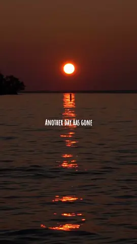 You Are Not Alone.... Song by Michael Jackson #fyp#lyrics #michaeljackson #oldsongs 