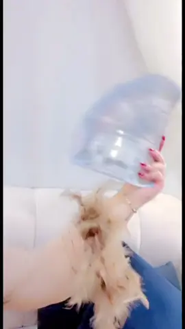 #تبيض_وتفتيح_تحت_الابط #تبيض_الجسم #تبيض_المفاصل #يوم_التأسيس #طبخات_سهلة 