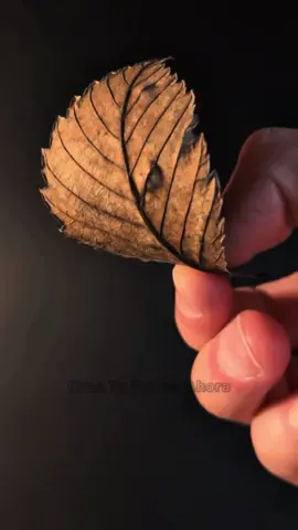 Cada vez que AYUDAMOS a los DEMAS el UNIVERSO esta en DEUDA con NOSOTROS. LO QUE DAMOS NOS LO DAMOS ES LA LEY ♾️.  #⃣Hashtags#⃣ #motivation #mentalidad #mindset #motivacion #disciplina #metas #exito  #objetivos #desarrollopersonal #creatufuturoahora2024 #creatufuturoahora #ayudar #universo #ley 