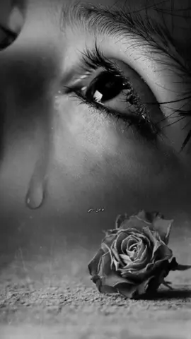فقيدي وإن أذيتك بدموعي فسامحني فليس للمشتاق حول ولا قوة.. #💔 #🥀 #حزين #تصاميم #بدون_موسيقى #حزينہ♬🥺💔 #شيلات #ستوريات #حالات_واتس #💔🥀 #لايك #اكسبلور #فولو #متابعه #اكسبلوررر 