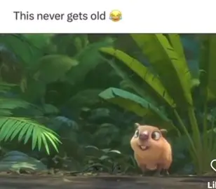 𝐇𝐢, 𝐦𝐲 𝐧𝐚𝐦𝐞 𝐢𝐬 𝐂𝐥𝐚𝐢𝐫𝐚, 𝐚 𝐂𝐚𝐩𝐲𝐛𝐚𝐫𝐚..🥹🥹❤️😂🥰 #HiMyNameIsClaira #TheCapybara #Capybara #SooAdorable #Lmao #Fyp  