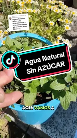 Respuesta a @irasemasanchezman Como hacer una Agua de Rosas o como me gusta decirle agua de vida mis queridos nietos 😊. #cocinandoconlauren #misqueridosnietos #aguadevida 