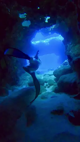 Come dive this lava tube with me 😋🩵 #lavatube #freediver #freediving #underwater #asmr #asmrsounds #satisfyingsounds