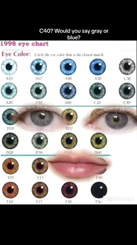 Would you say C40? Gray? Blue?? Someone tell me what they think plz #eyecolorcheck #eyecolorchart #eyecolor #greyeyes #grayeyes #centralheterochromia #blueeyes 