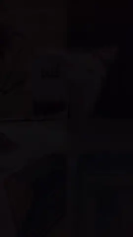 #دويتو مع @لتطمئِن قلوبكم .❀. #تلاوة_خاشعة #اكتب_شي_توجر_عليه 