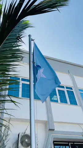 our flag is up🇸🇴✊🏾#somalia #flag #calankasomalia #somalitiktok #fyp #flags #somaliproud #somaliweyn #somalitiktok12 #somaliarmy #fypシ #ourflag #somali #foryou #fyp #fypシ 
