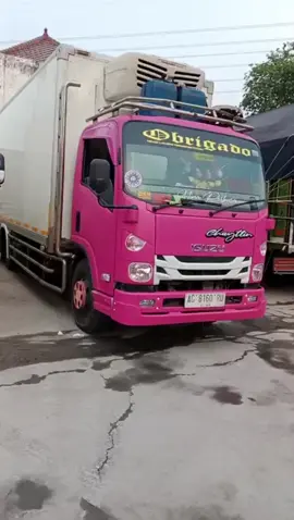 👌🦎#nyongtimor #driversantuy #diamdiammerayap 