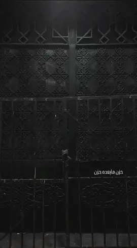 يم عون خاف العمر يگضي #المصور_حسين_كريم #اربعين_السيدة_زينب 