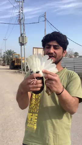 يستاهل اخونه ابو كريم  بل توفيق ❤️