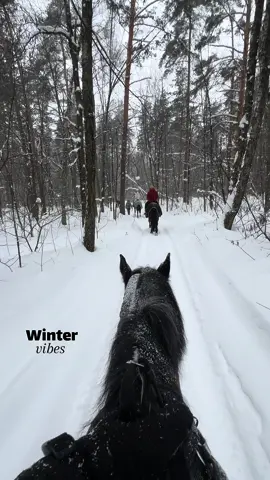 الشتا يسئل 🎧🐎. #خيل #russia #🇷🇺 #موسكو #روسيا🇷🇺 #موسكو_روسيا #ثلج #ثلوج #moscow #russia #سفر #capcut #ftm #الطبيعة #طبيعه #مغامرات #تزلج #شجر #ftypシ #explore #اكسبلور #ترند #🇷🇺🇷🇺🇷🇺 …