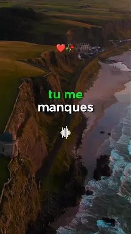 Tu me manques.#pourtoi #motivation #conseil #citations #france🇫🇷 #belgique🇧🇪 #fypシ #pourtoi #motivationalvideo #leçon #de #vie #motivation  #algérie #tounesie🇹🇳 #maroc #tiktok #fyp #foryoupage #viral 