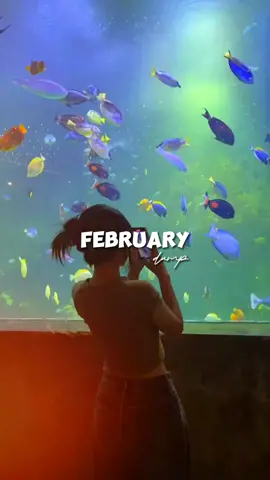 #CapCut FEBRUARY DUMP TEMPLATE #februarydump #februarydump2024 #capcuttemplate #capcuttrending #trendingnow #capcutphilippines #template #fyp? #fypviral #pe_fam #viral #fyp 