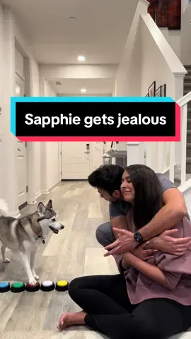 Sapphie gets jealous when daddy hugs mommy 😂😂😂 #smartdog #dogs #funnydog #dogsofttiktok #fyp 