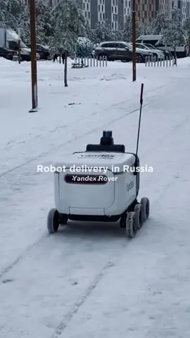 Robot delivery in Russia 