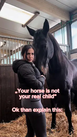 Hater würden sagen das ist Fake 😜 #horse #horsegirl #equestrian #equestrianlife #funny #pferd 