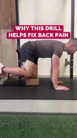 #backpain #lowbackpain #backpainrelief #backpainexercises #backpaintips #lowbackpainrelief