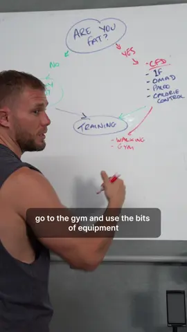 Are you fat? 🧑‍🔬 (updated MSc version)