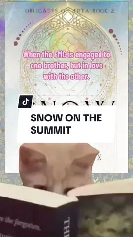 🎵You get the best of borh worlds🎵 #snowonthesummit #obligatesofaerta #followingthesnow #eafortneaux #BookTok 