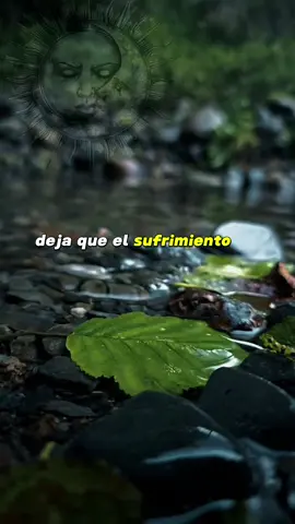 ☀️ 🌙 simpre sige adelante ☀️🌙 #adelante #frases #fe #capcut #tupuedes #sigueadelante #motivacion #reflexiones #verdades #voz #fe #audio 