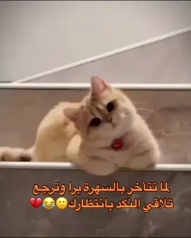 #CapCut #foryou #fyp #explore #اكسبلور #سيطر_واتمكن_من_قلبي🙋🏻‍♀️💙💕 #حبيبي❤️ #foryoupage #فوريو #فوريو_العرب #فوريو_foryou #الشعب_الصيني_ماله_حل😂😂 #foryo #حبيبي #حب #foryoupageofficiall #شيرين_عبدالوهاب 