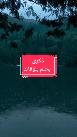 بحبك بلؤقاك | ذكرى يا سيبني فحيرة ونار ليل ونهار بحلم بلقاك #ذكرى #بحلم_بلقاك  #بهواك_انا_وبدوب_انا  #pageforyou #foryoupage  #fypシ #fypシ゚viral 