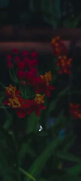 Madre❤️ - Dina Páucar ❤️🎶 #Parati #madre #letras_canciones🎧🎶 #fypシ゚viral #quisieranacerdenuevo🥺 