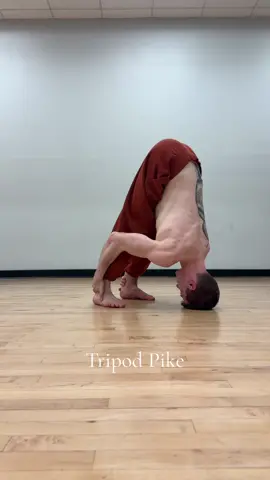 Sun salutation but it feels like Scavenger’s Reign