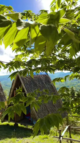 Good morning!😍❤️ 📍AC Nature Camp-Aloguinsan💚🥰 #bukid #obssedwithnature❤️ #stressfree #bukidislife😊💕 #withyou 
