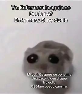 #hamster #hampers #fyp #viralvideo #fypシ #fypシ゚viral #fyppppppppppppppppppppppp  #hamsterllorando #hamsterllorandomeme #fypシ #aguja  disque no dolia la aguja ahora no puedo caminar