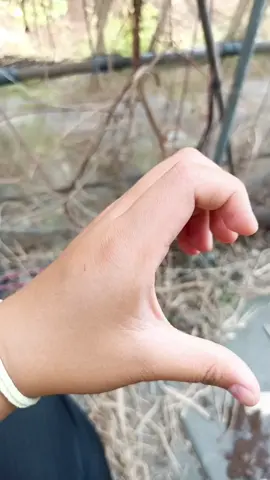 我和我的閨蜜比愛心#比愛心舞 #比愛心💗 