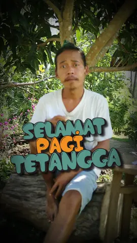 SELAMAT PAGI TETANGGA #tetangga #tailincing #fyp 