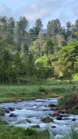 Salah satu tempat favorit kakang nih yang ada di Bandung, tempat nya adem pisan asli✨🍃🏕️   Lokasi: Rancacangkuang,ciwidey,Bandung