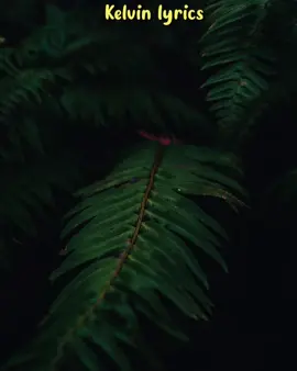 @Mathias Walichupa BADO NAHEMA 🙏🙏🙏#foryou #foryoupage #foryourpage #mathiasiwalichupa #badonahema #kenyatiktok🇰🇪 #tanzaniatiktok🇹🇿 #tanzaniagospel #lyricsvideo #kelvinlyrics_5 