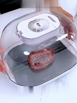 Decidiu descongelar seus alimentos de última hora ? Seus Problemas acabaram!