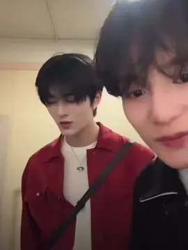 Cape banget, dikira sing bisa bhs Indonesia kali ya😭😭 #zayyan #sing #leo #zalesing #xodiac #xodiacofficial #xbliss #fyp 