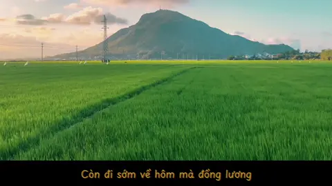 Bài này chill phết 🖤 #CapCut #xuhuong #chill #fyp #lyrics #denvau 