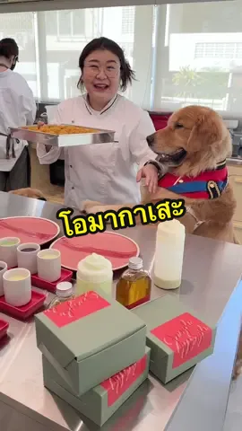 เมื่อเราพาหมาไปกินโอมากาเสะ @Mhasongbai @brutehause  @storge.th 