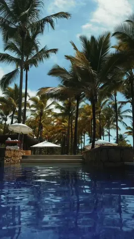 SINTA TODO O LUXO E SOFISTICAÇÃO DO TXAI RESORT! 🌴 ✨ Emoldurado pelas paisagens paradisíacas da Bahia, o Txai é mais do que um Resort, é uma experiência única de elegância e exclusividade. Com design impecável e serviços extraordinários, cada momento no Txai é uma celebração ao bem-estar. Mergulhar em piscinas deslumbrantes, relaxar em acomodações luxuosas e degustar uma gastronomia que encanta os sentidos são apenas o começo de tudo que esse lugar proporciona. Sinta o conforto e a elegância que tornam cada estadia uma experiência de puro requinte. Quer saber mais do Txai Resort? Entre em contato com a Central de Reservas pelo telefone 0800 021 2022 ou visite nosso site! ✨🍾 #txairesorts #bahia #paisagensnaturais 