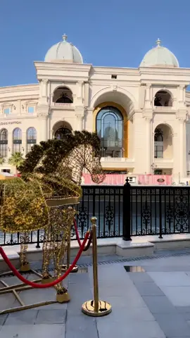 🌹إكسبلورر 🌹قطر ## لايكات  ❤️الدوحه🌹🌹❤️