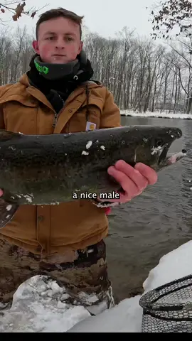 Which bait works the best? #foryou #fyp 