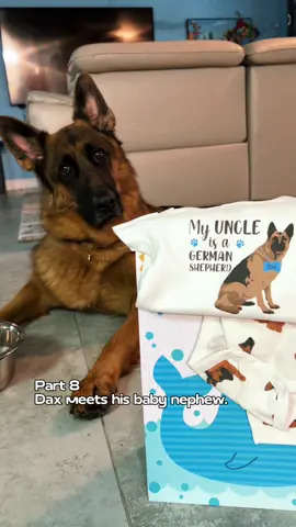 They’re going to be the best of friends. #germanshepherd #dog #baby 